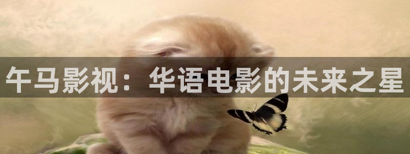 老光棍影院在线