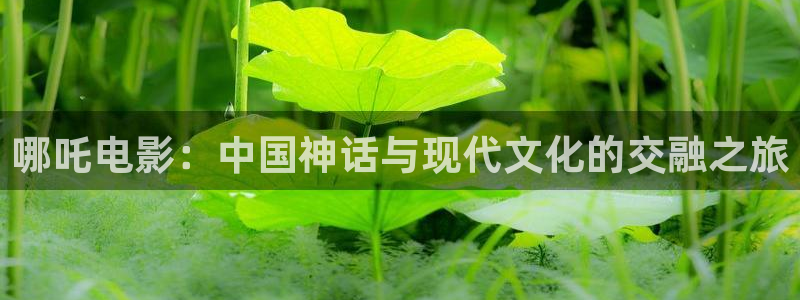 光棍免费影院