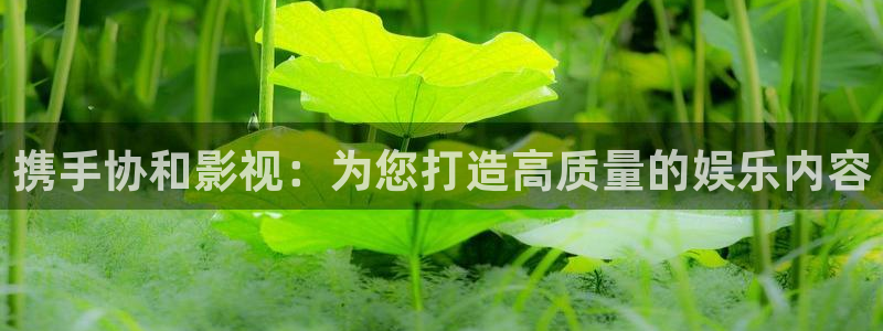 光棍影视午夜