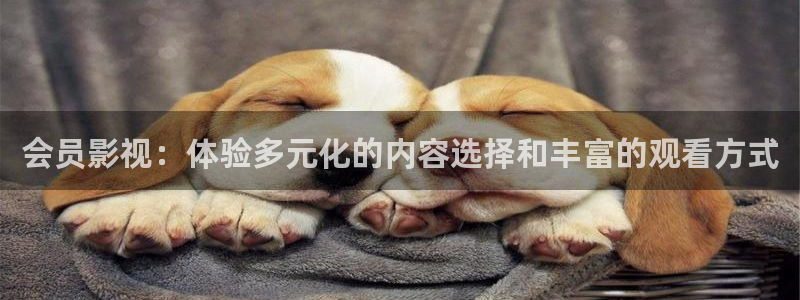 光棍视频推荐