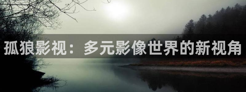 光棍影院vip电影有哪些
