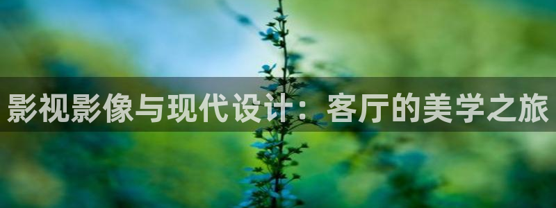 光棍影院之艳母