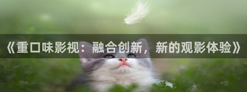 光棍影院 在线