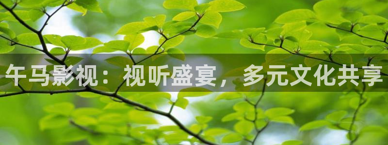 yyy111111光棍影院