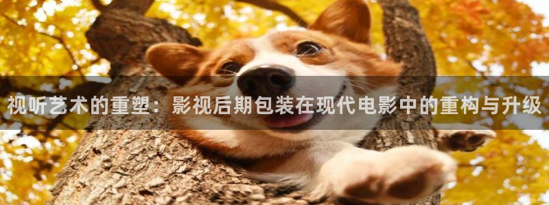 光棍影院ggyy6